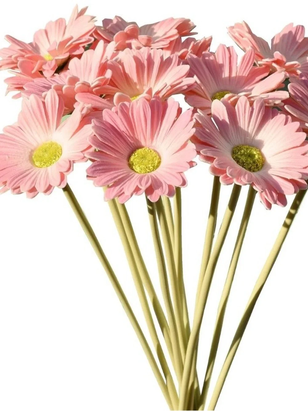 New set of 30/ gerber daisys peach